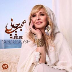 Cover of Ajab Jaei