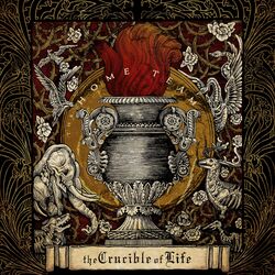 music cover