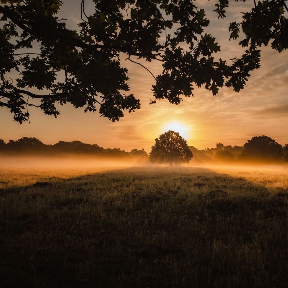 Picture of September 50 - 50 Summer Rhythms