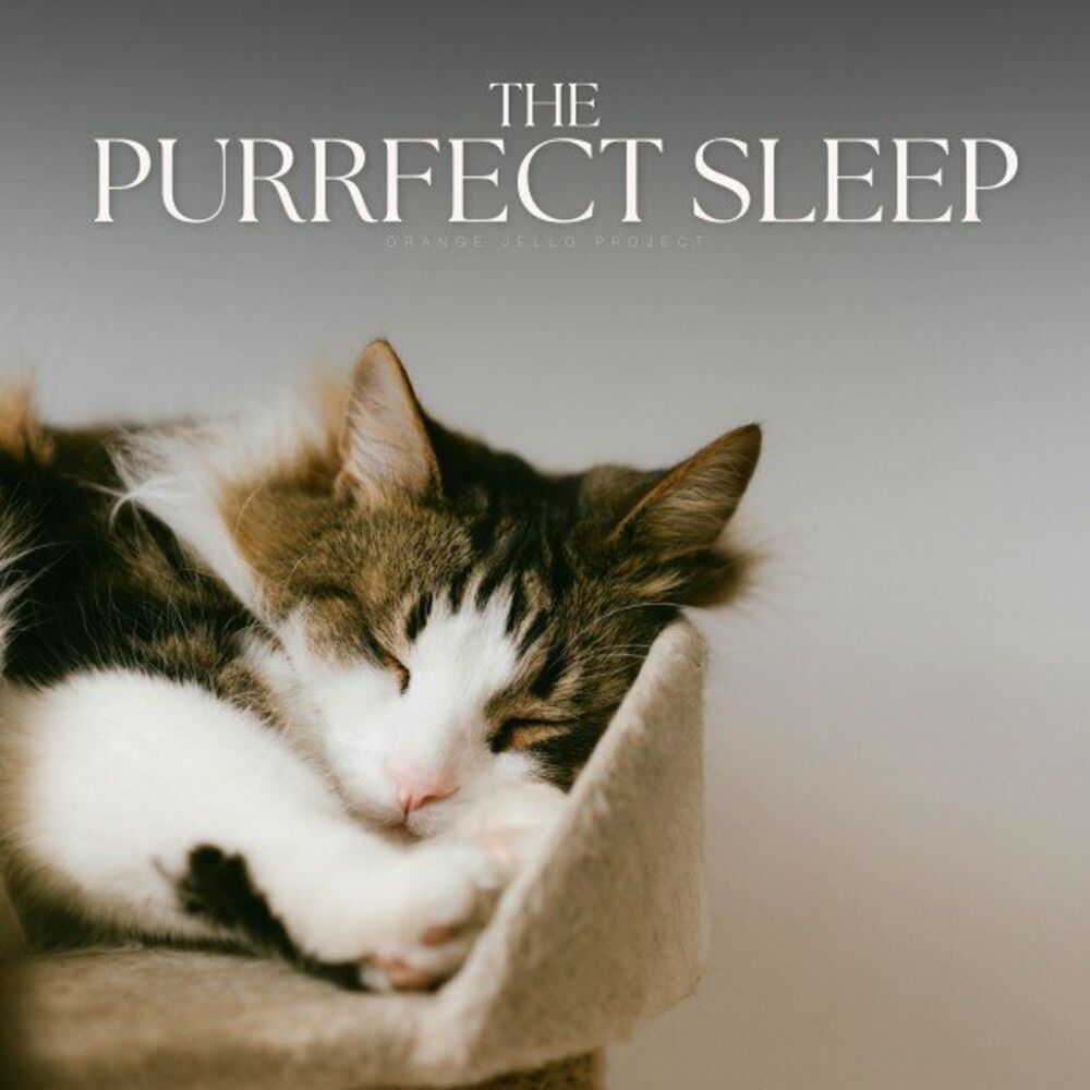 Picture of The Purrfect Sleep