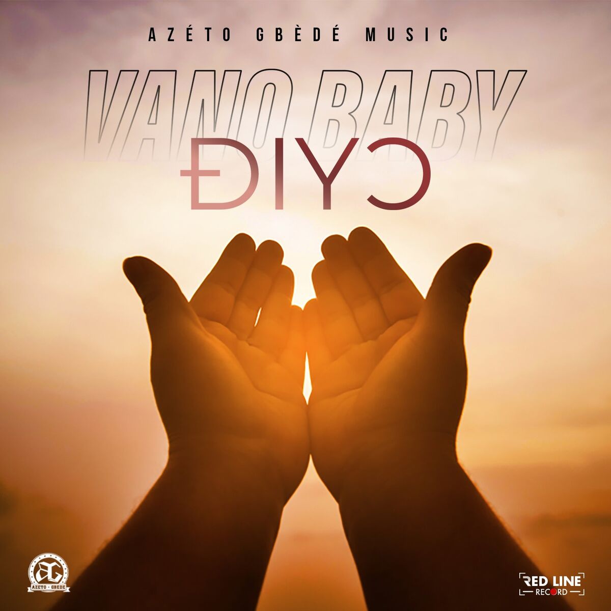 Album cover of DIYO