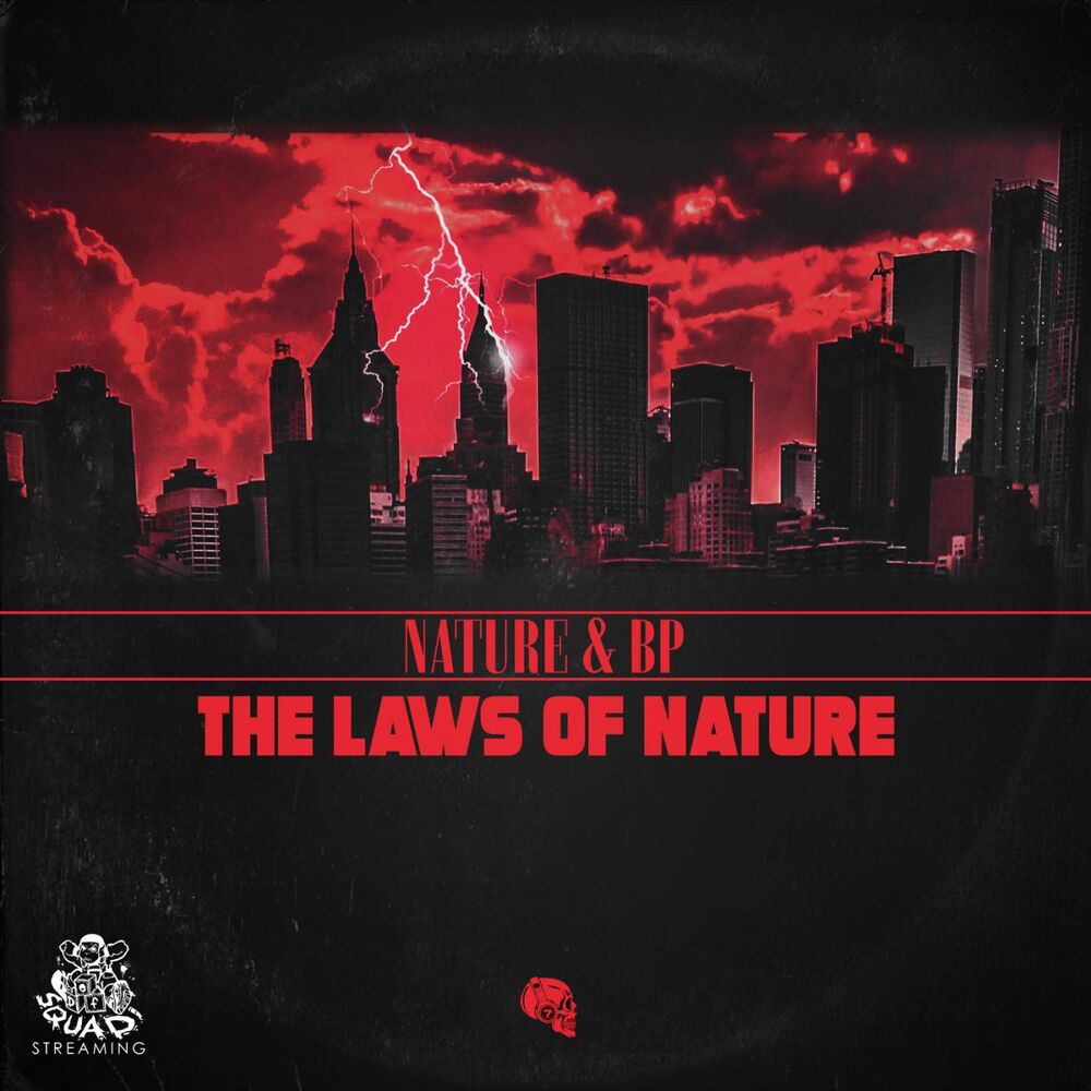 Picture of The Laws of Nature