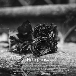 Cover of Ni Te Pienso