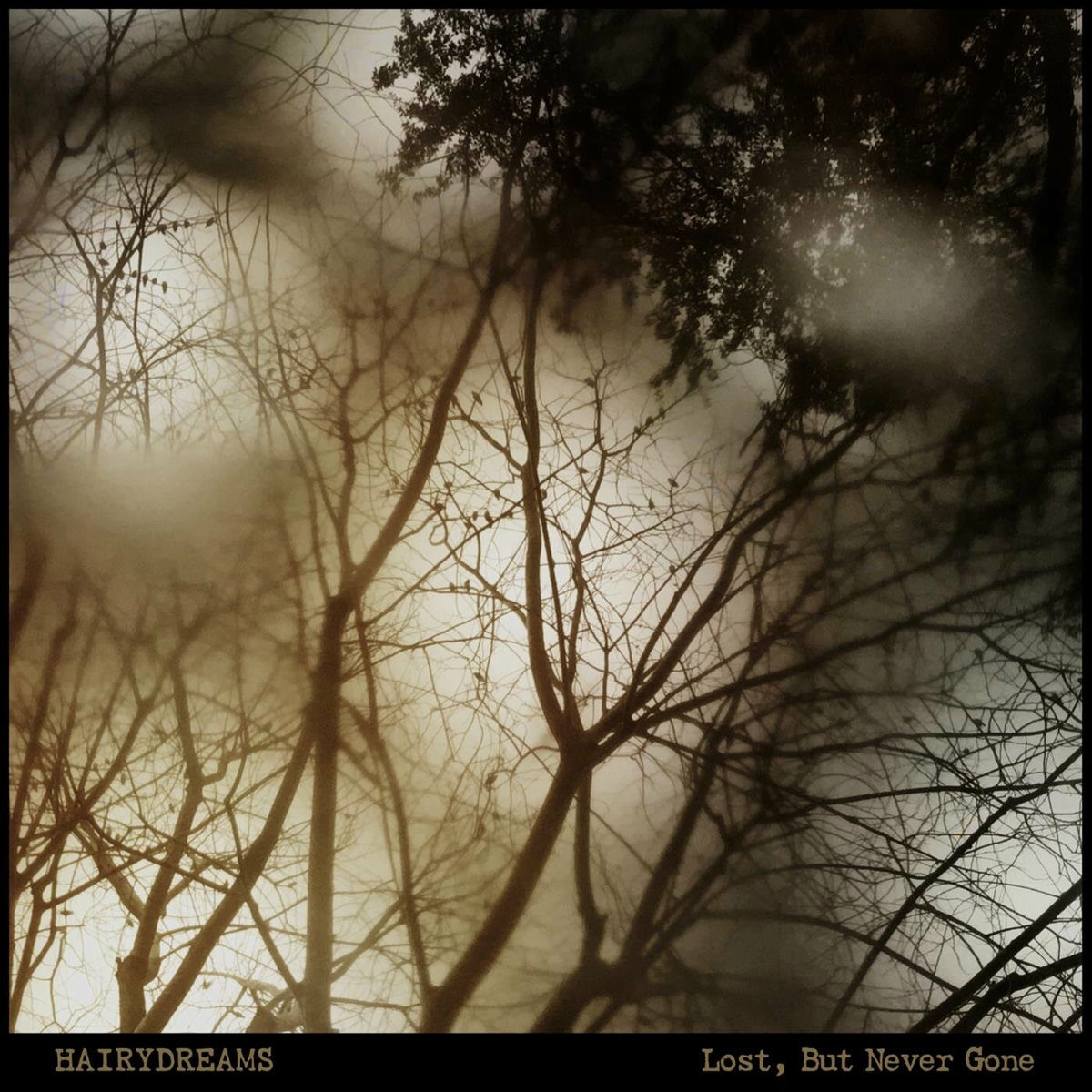Album cover of Lost, But Never Gone