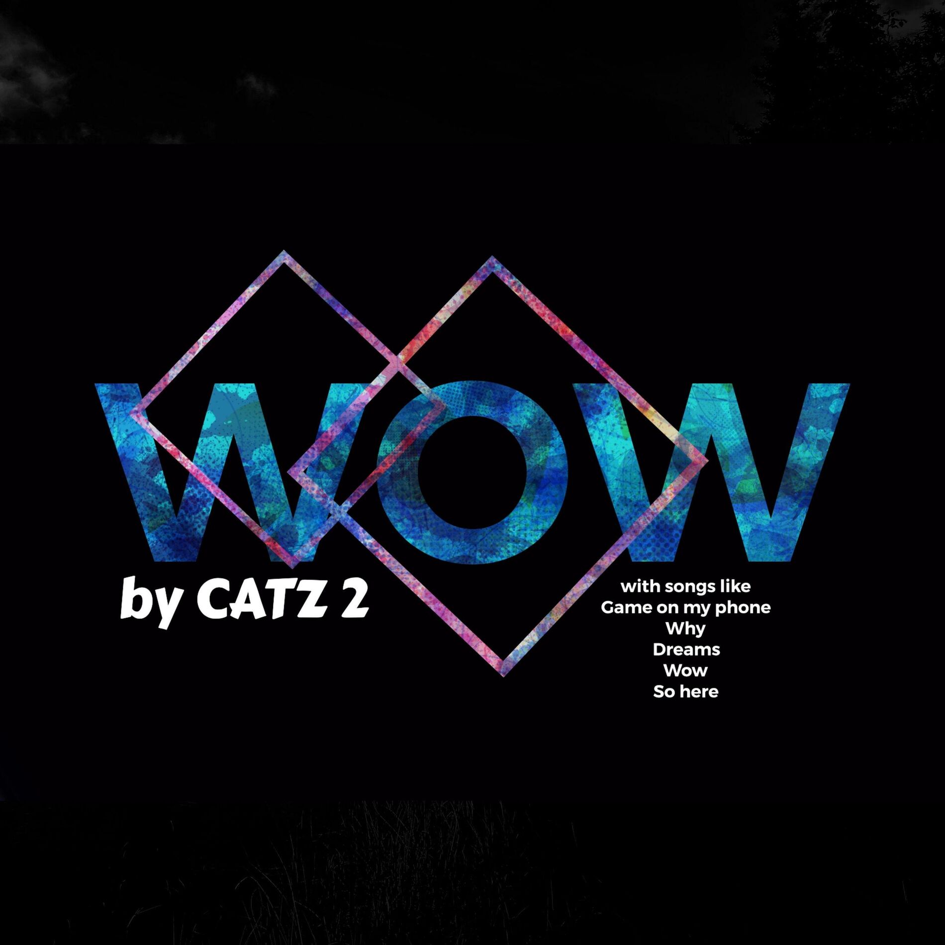 Album cover of WOW