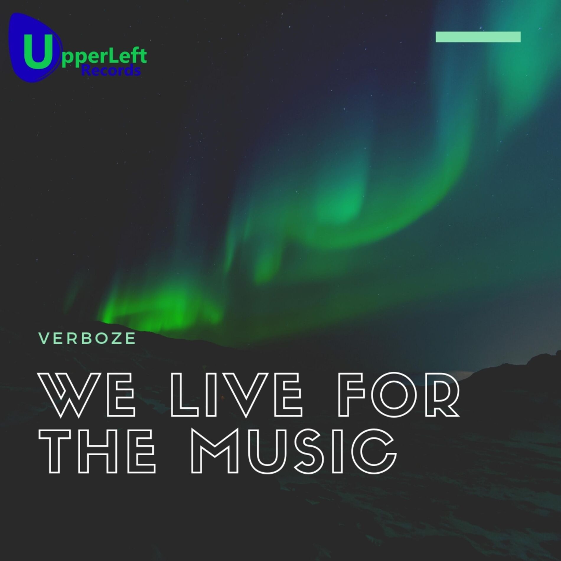 Album cover of We Live for the Music