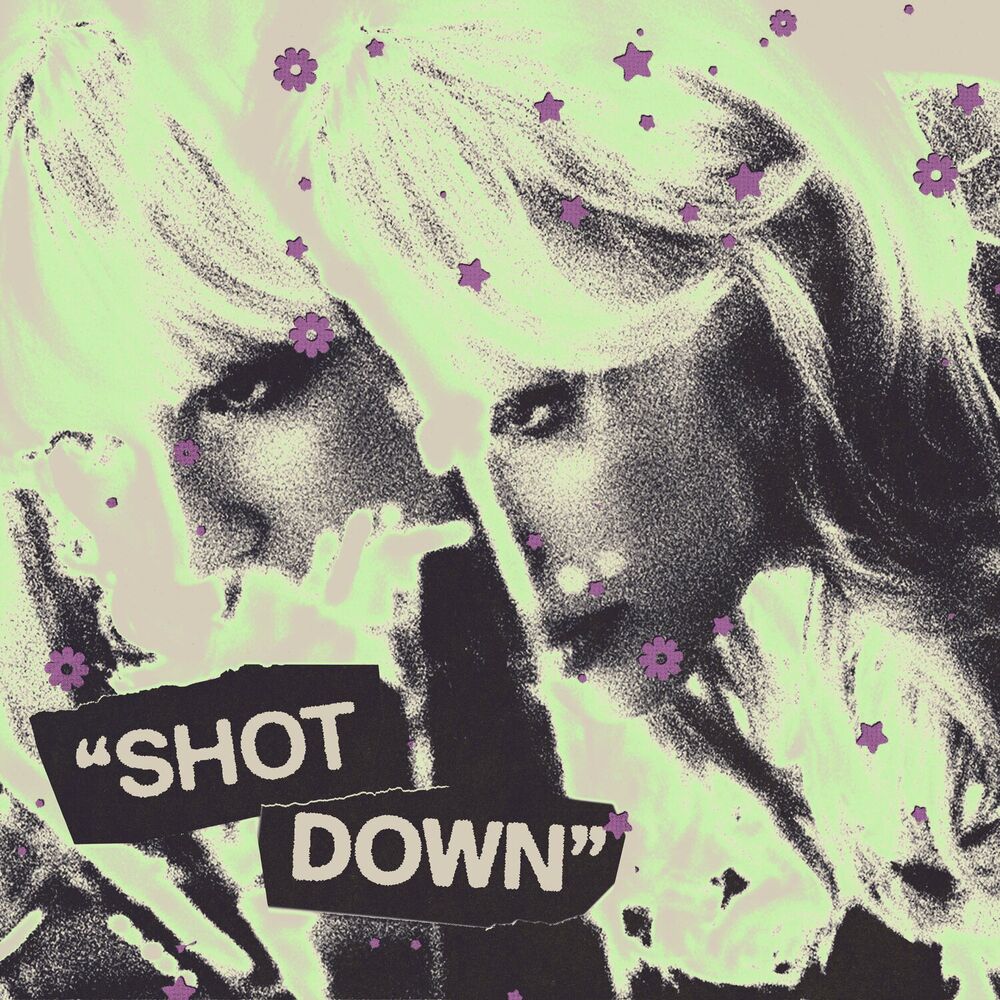 Picture of Shot Down