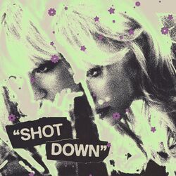 Cover of Shot Down