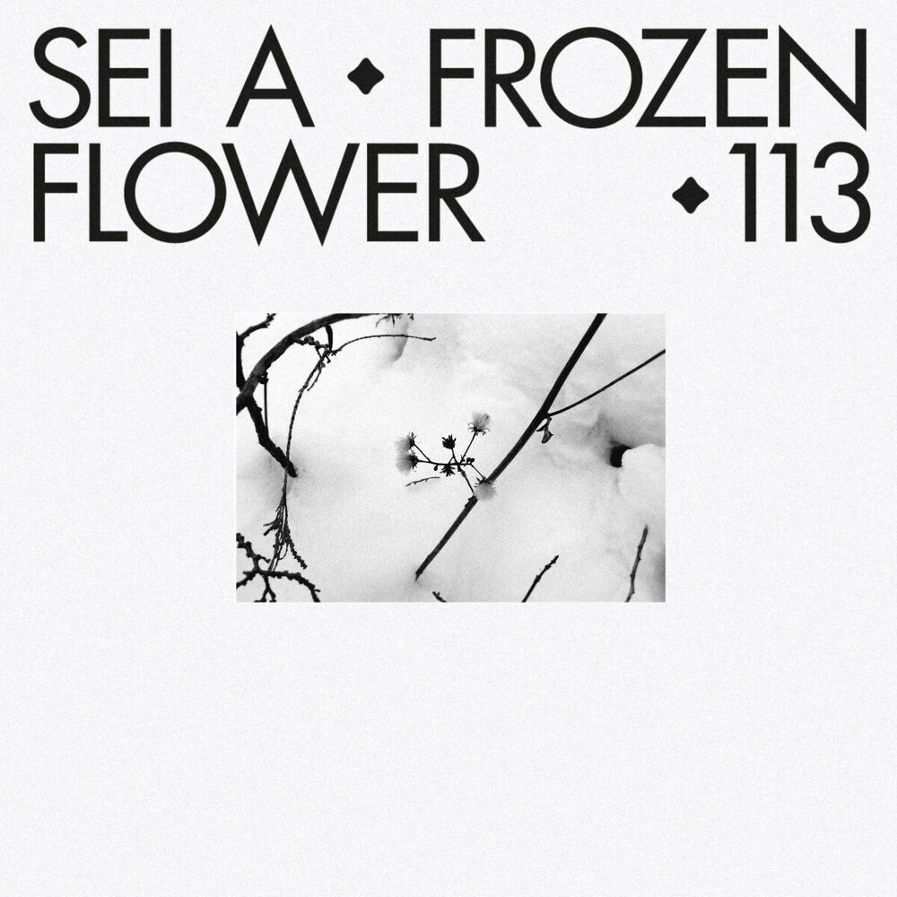 Picture of Frozen Flower
