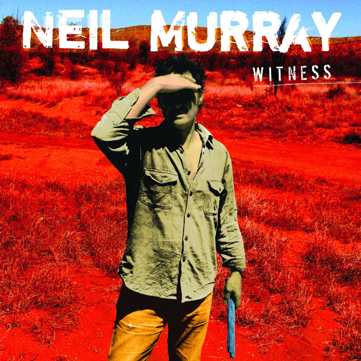 Album cover of Witness