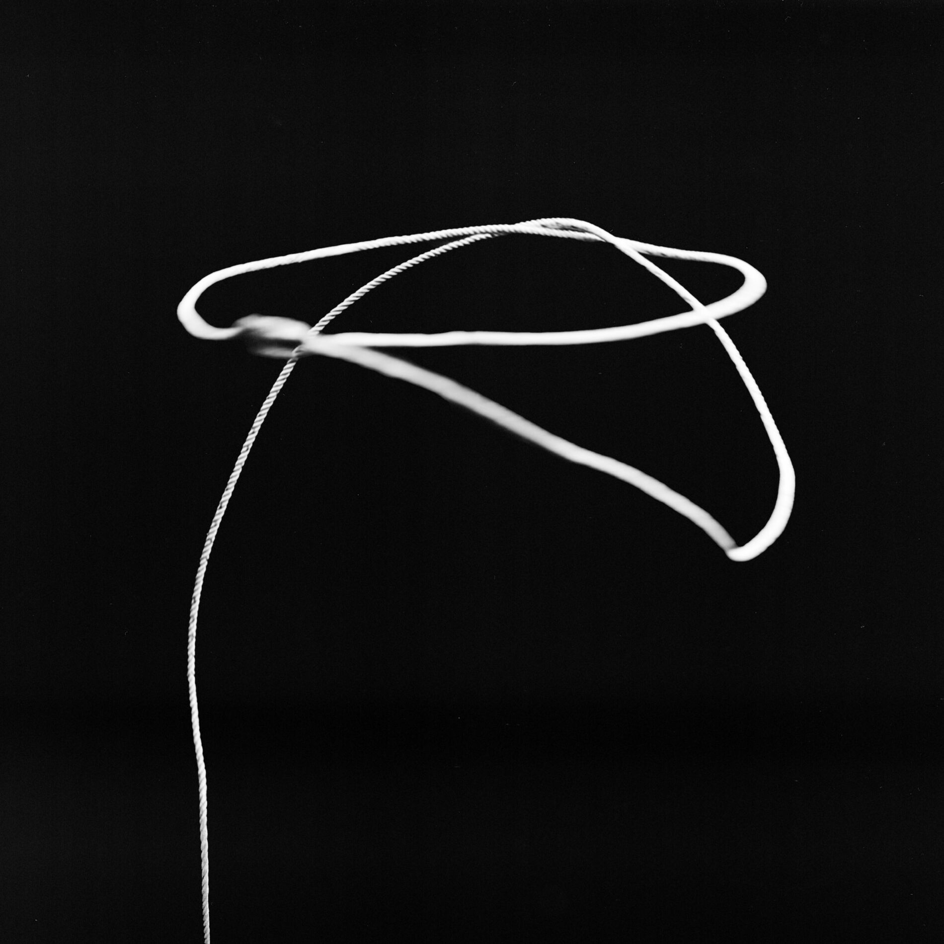 Album cover of LASSO
