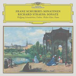 Cover of Schubert: Violin Sonata in A Major, D. 574; Fantasia in C Major, D. 934; Rondo in B Minor, D. 895 / R. Strauss: Violin Sonata in E (Remastered 2023)