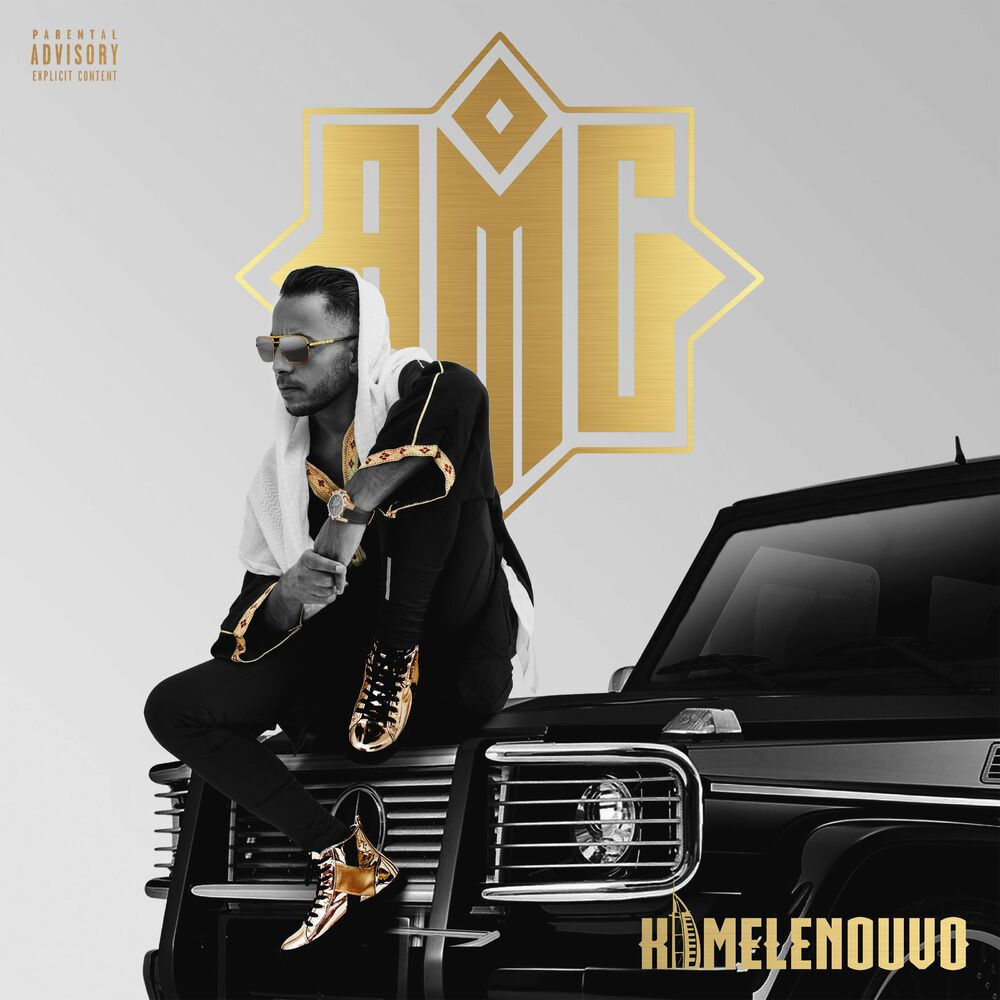 Picture of AMG Vol.1