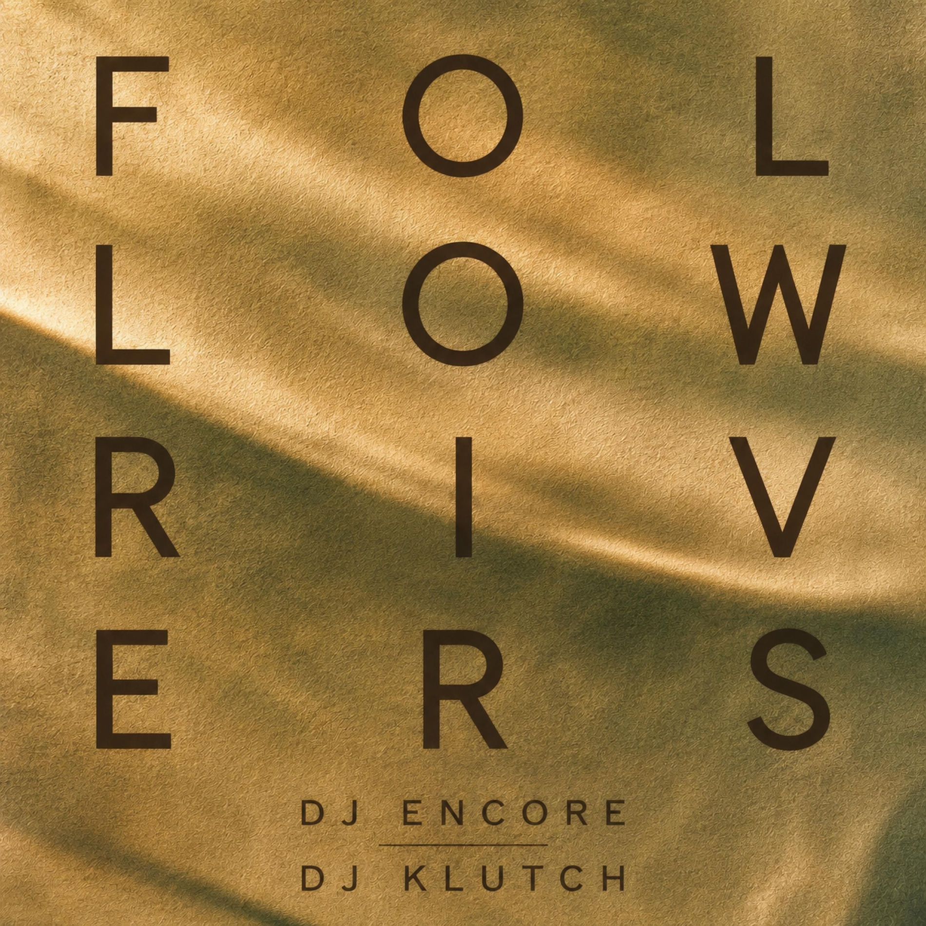 Album cover of Follow Rivers (Radio Edit)