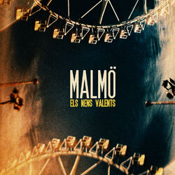 Cover of Els nens valents
