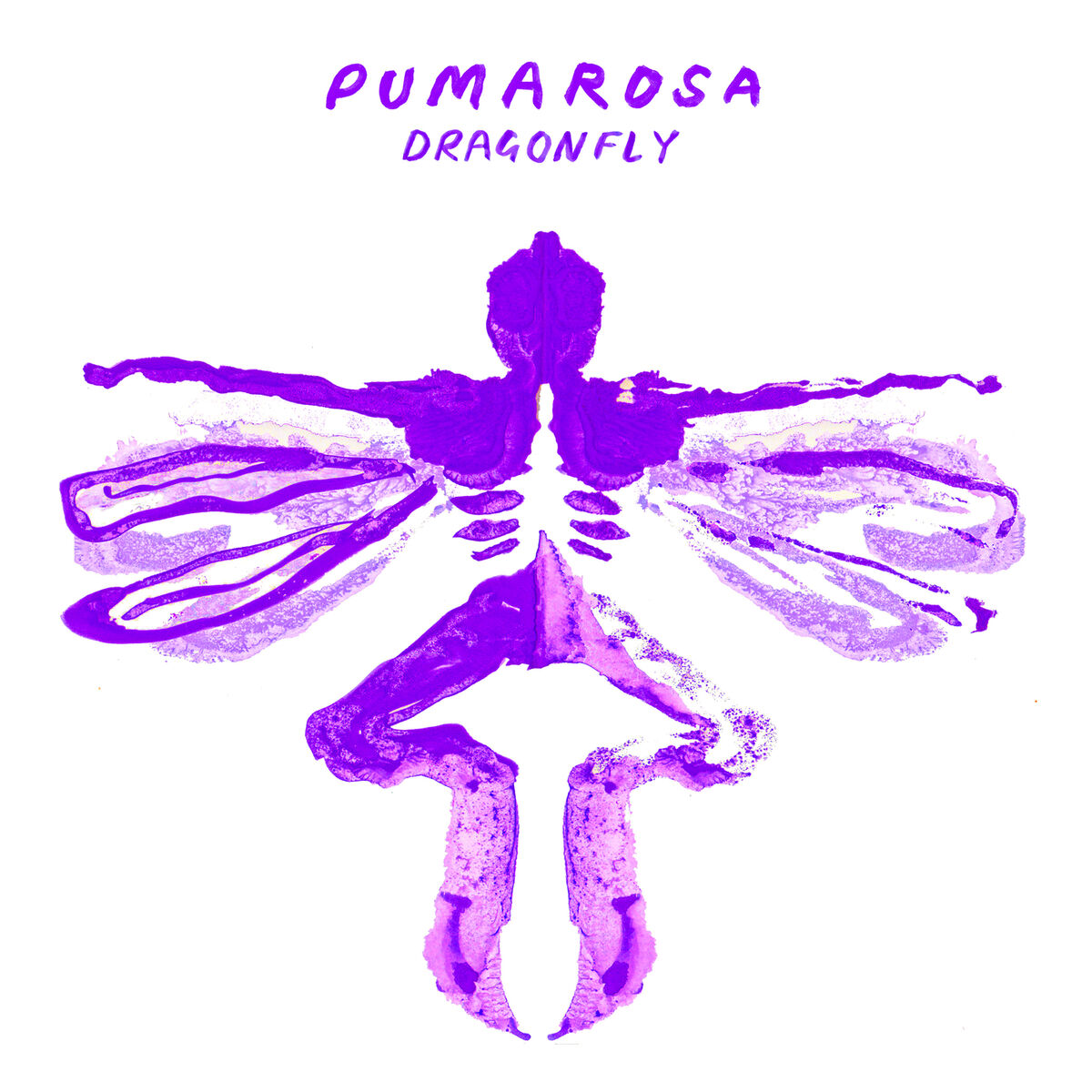 Album cover of Dragonfly