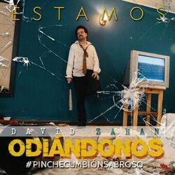 Cover of Estamos Odiándonos