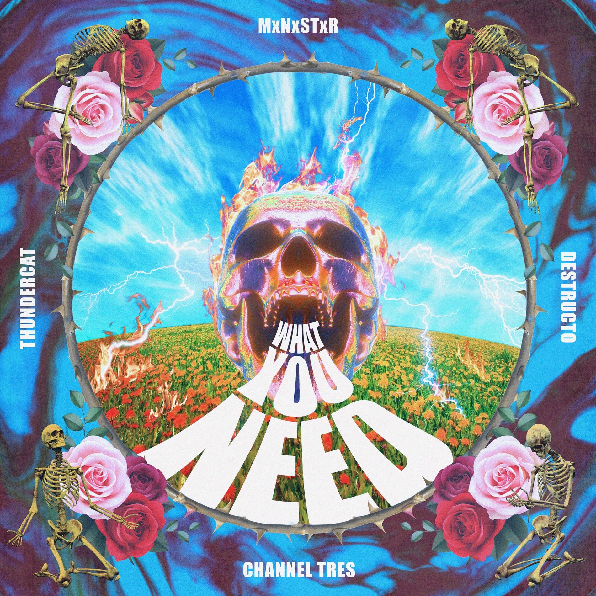 Album cover of What You Need