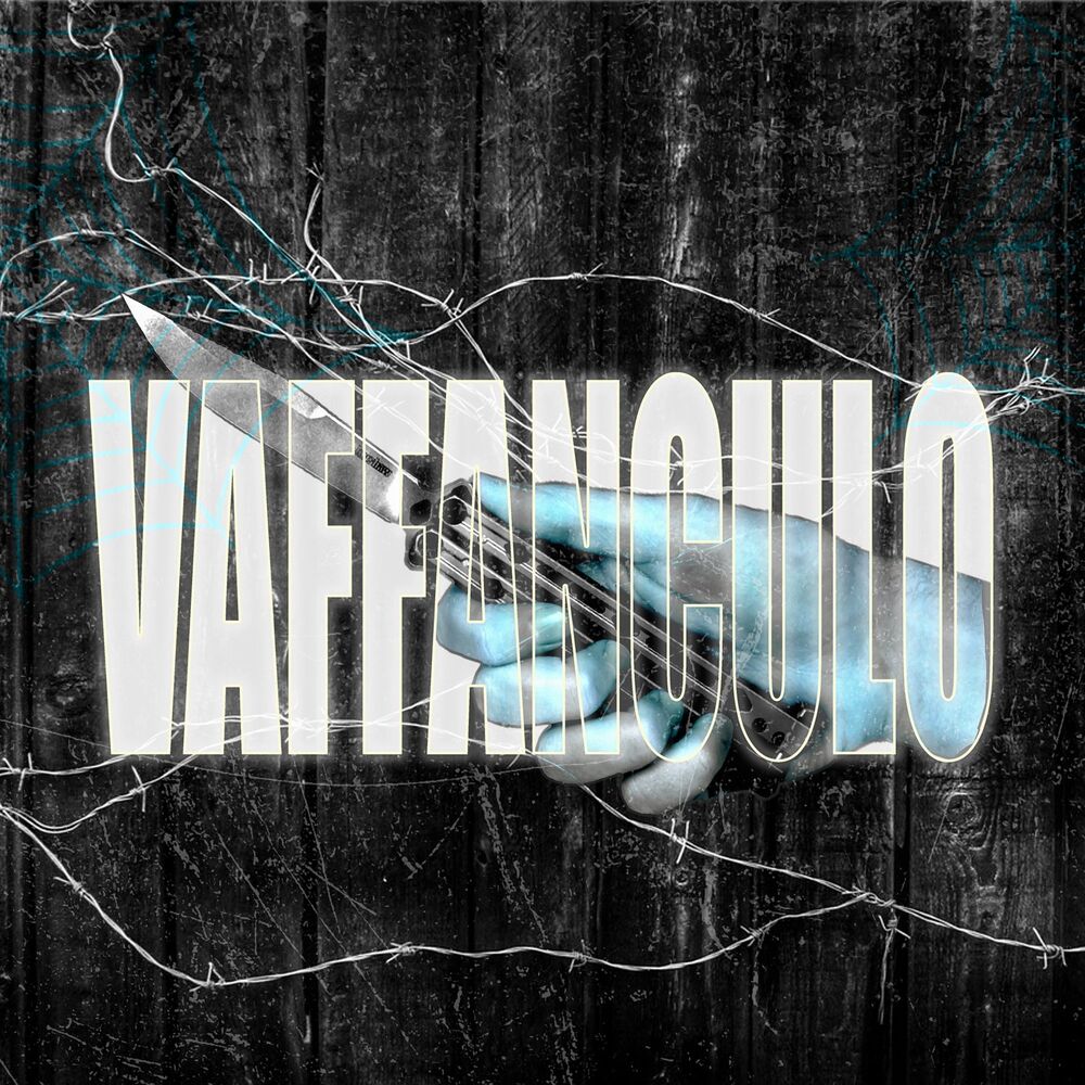 Picture of Vaffanculo