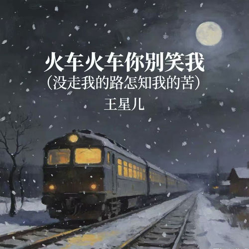 火车火车你别笑我 (没走我的路怎知我的苦)
