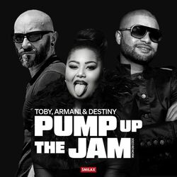 Cover of Pump Up The Jam (2022 Rework)