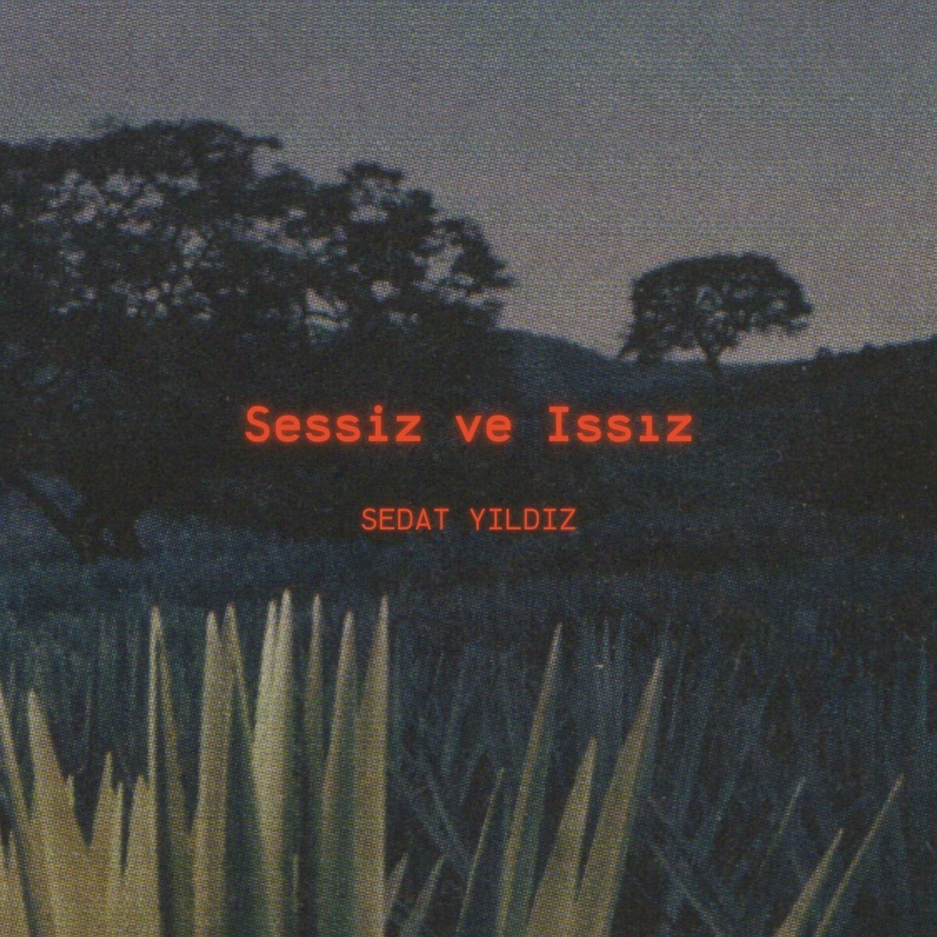 Album cover of Sessiz ve Issız