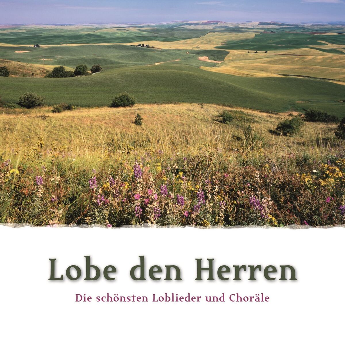 Album cover of Lobe den Herren