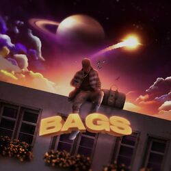 Cover of Bags
