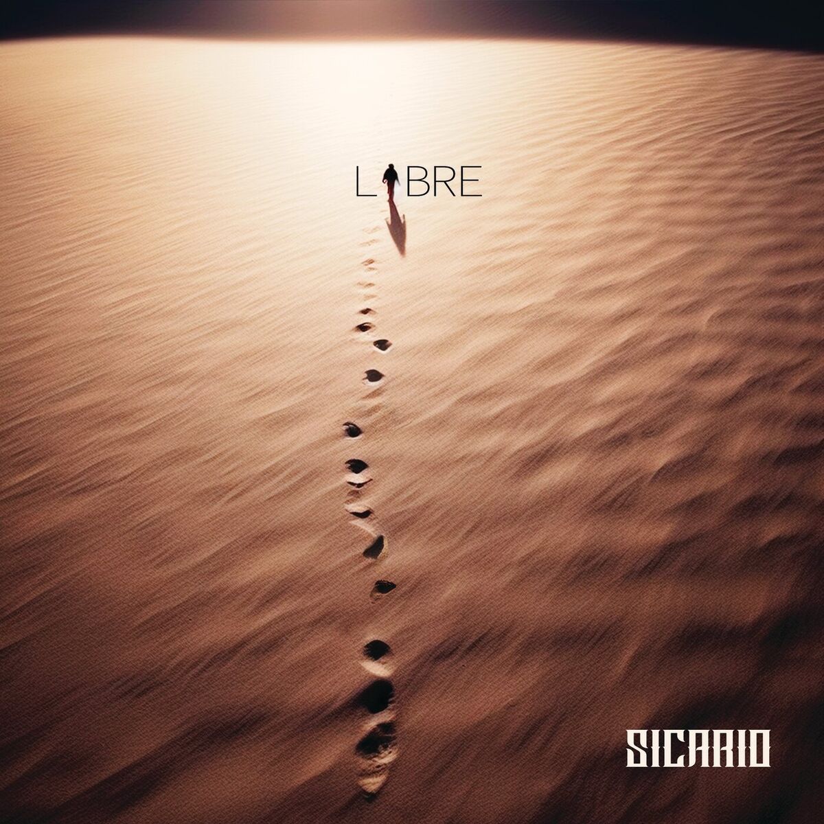 Album cover of Libre