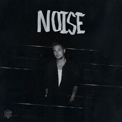 Cover of Noise