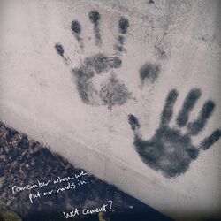 Cover of wet cement