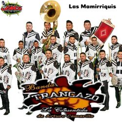 Cover of Las Mamirriquis