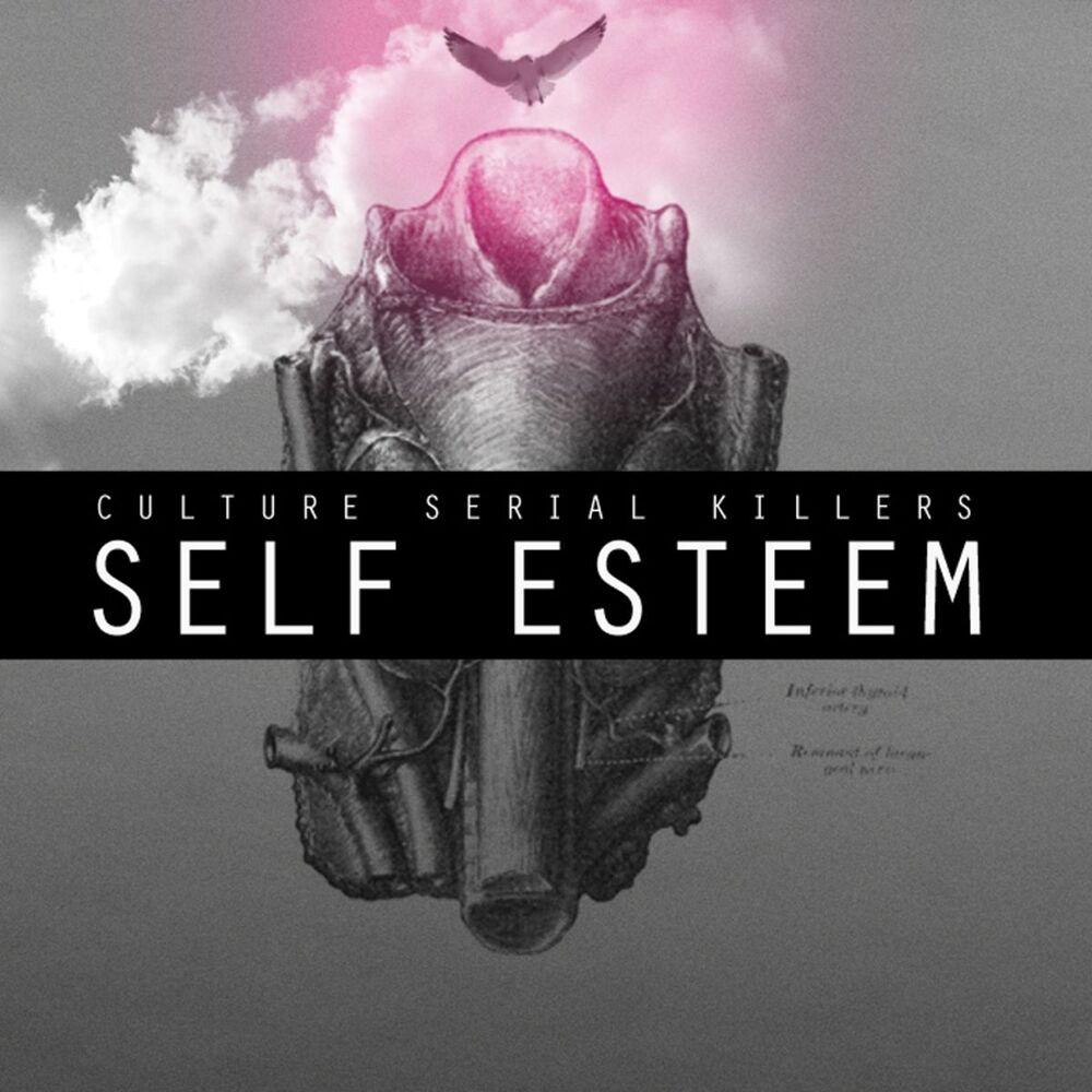 Picture of Self Esteem / Basket Case