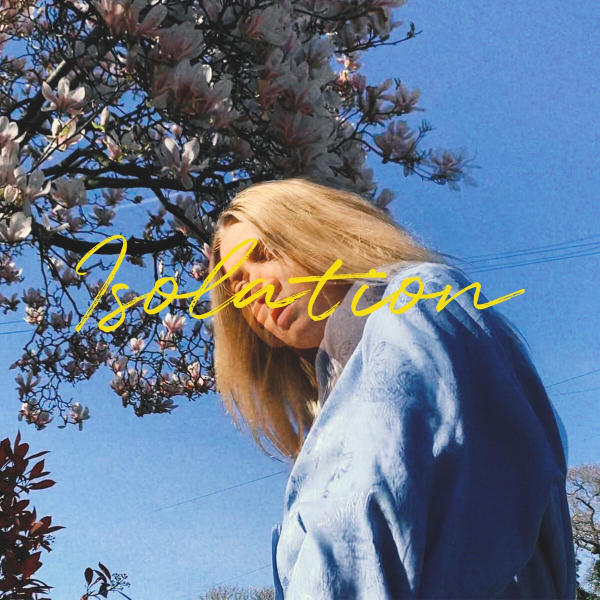 Album cover of Isolation