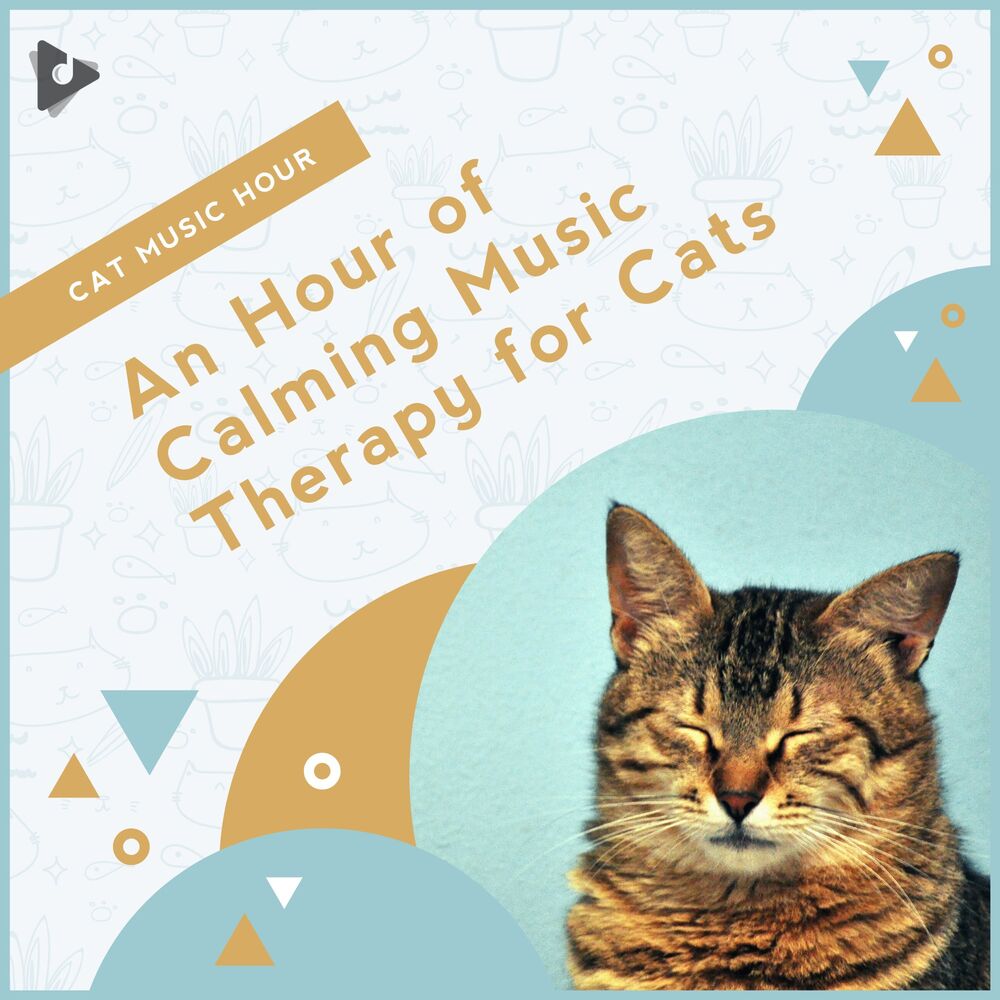 Picture of An Hour of Calming Music Therapy for Cats