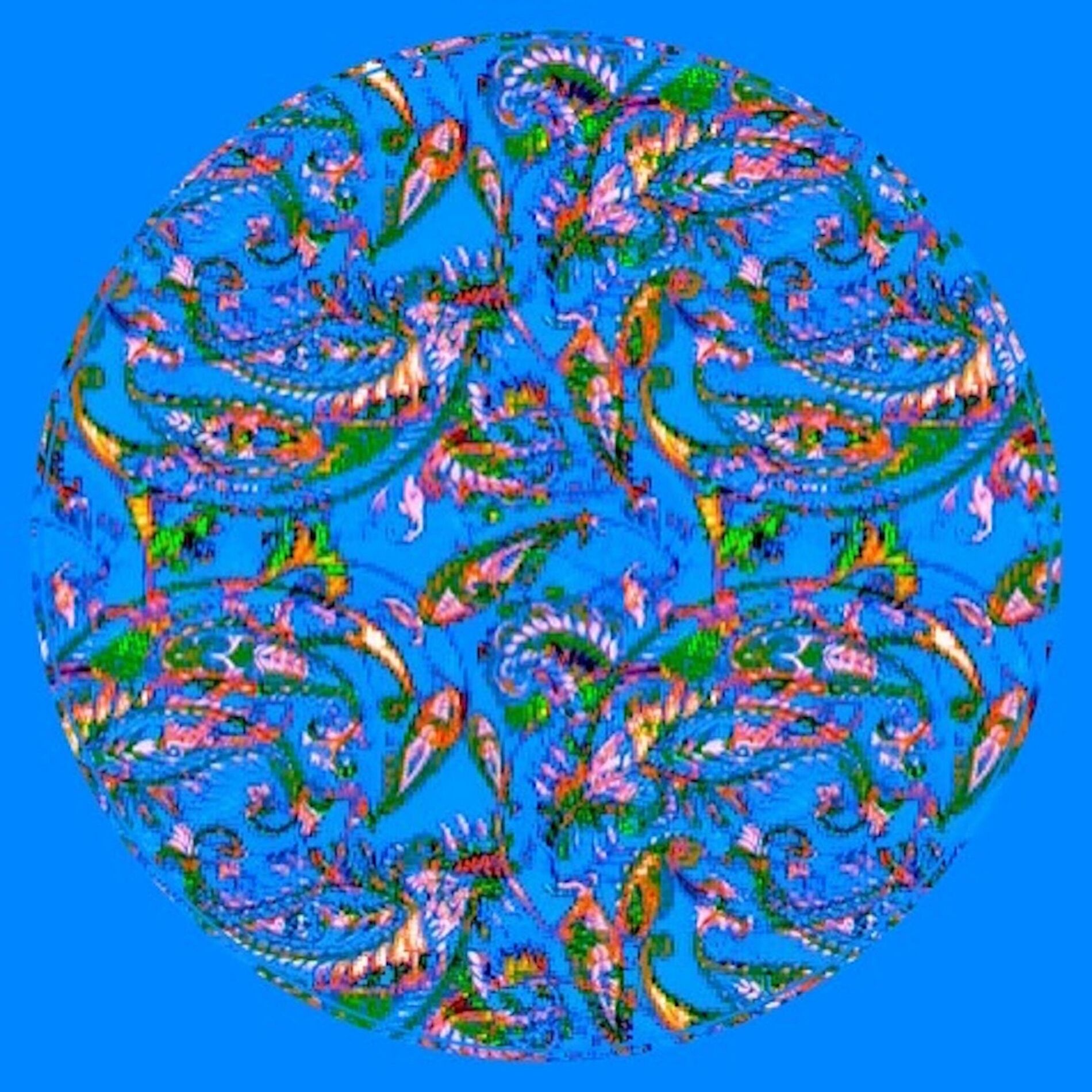 Album cover of Cephalopod
