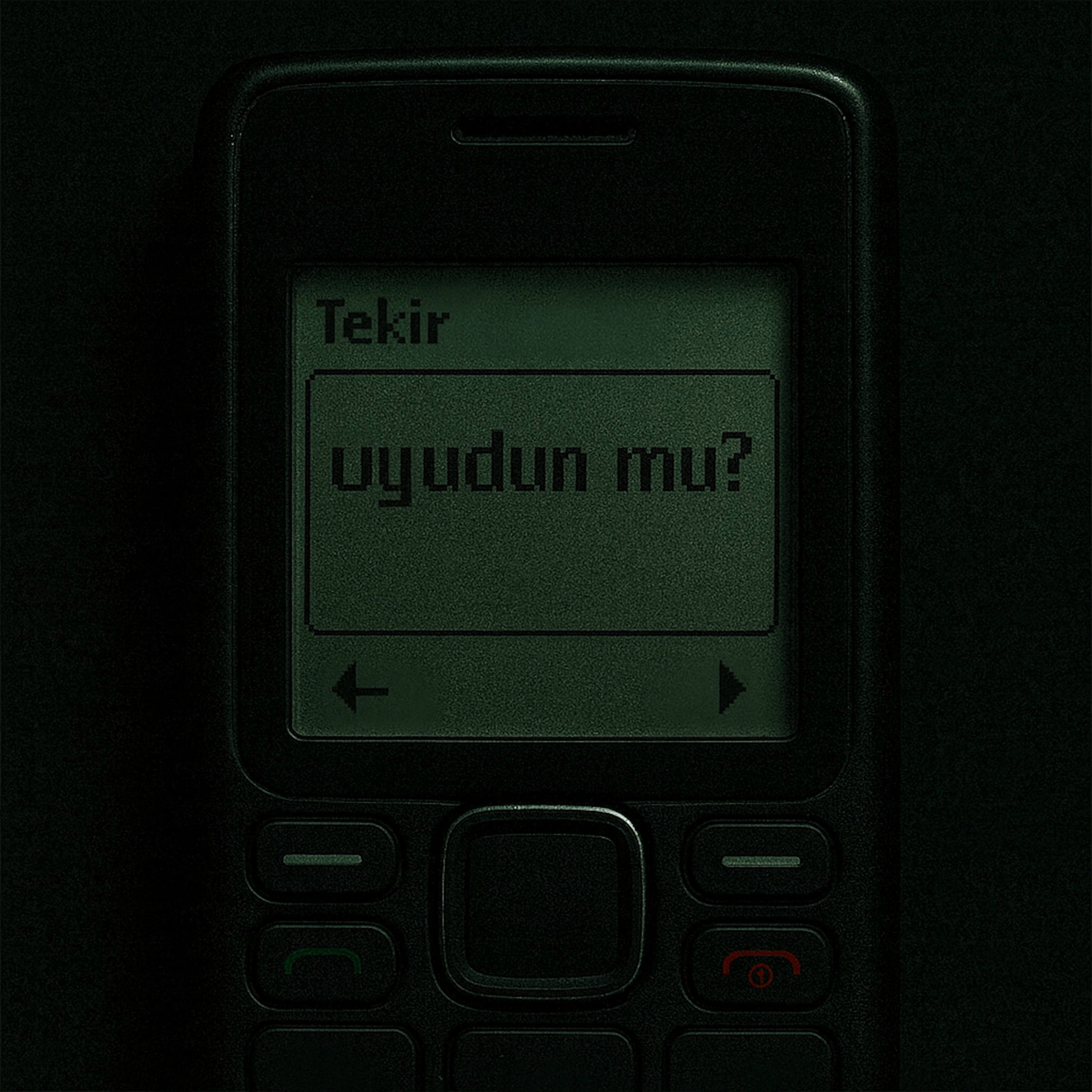 Album cover of uyudun mu?