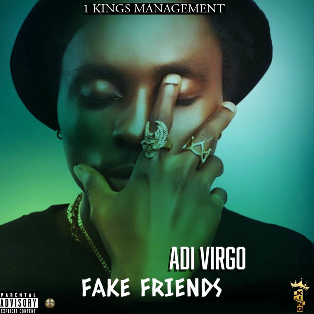 Album cover of Fake Friends