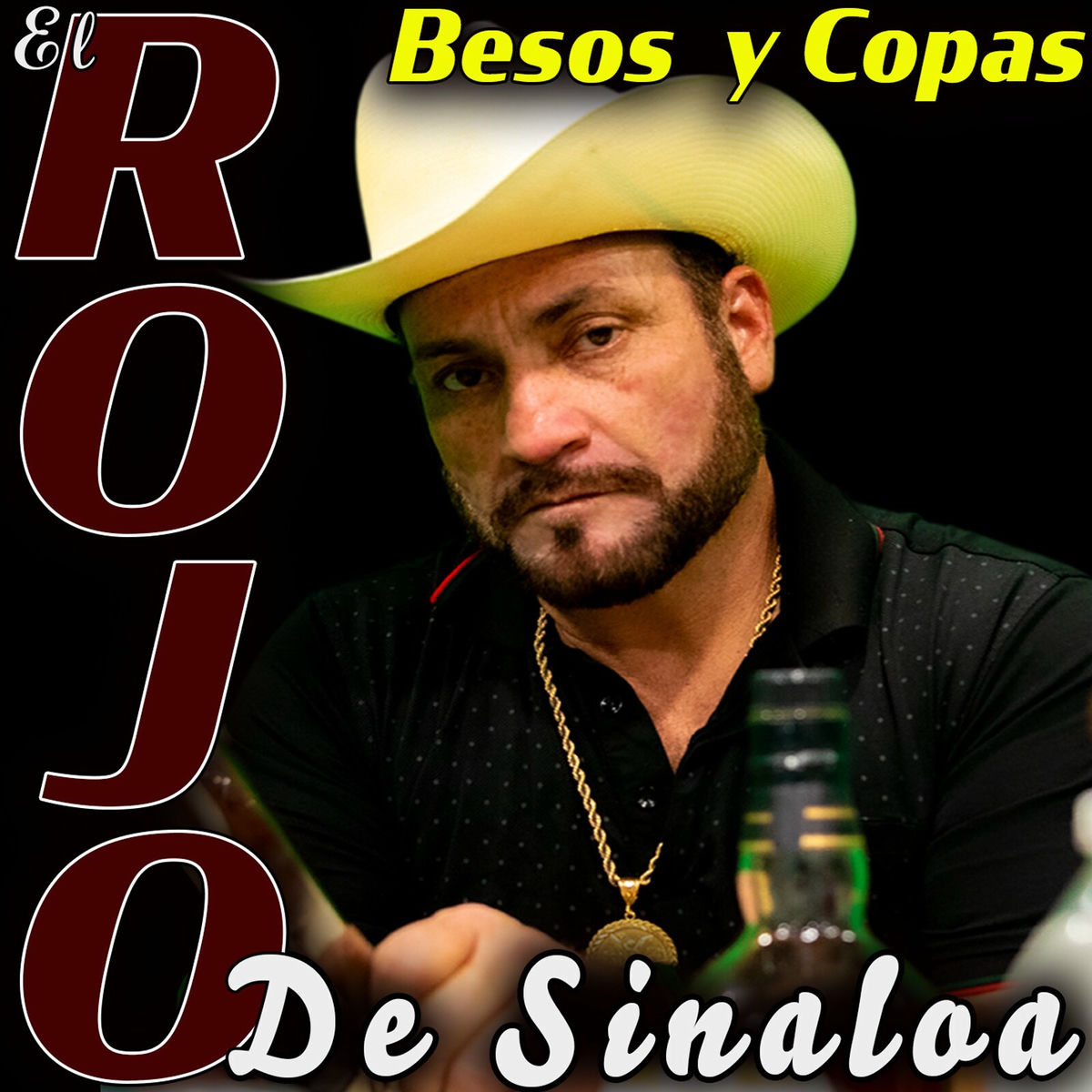 Album cover of Besos y Copas