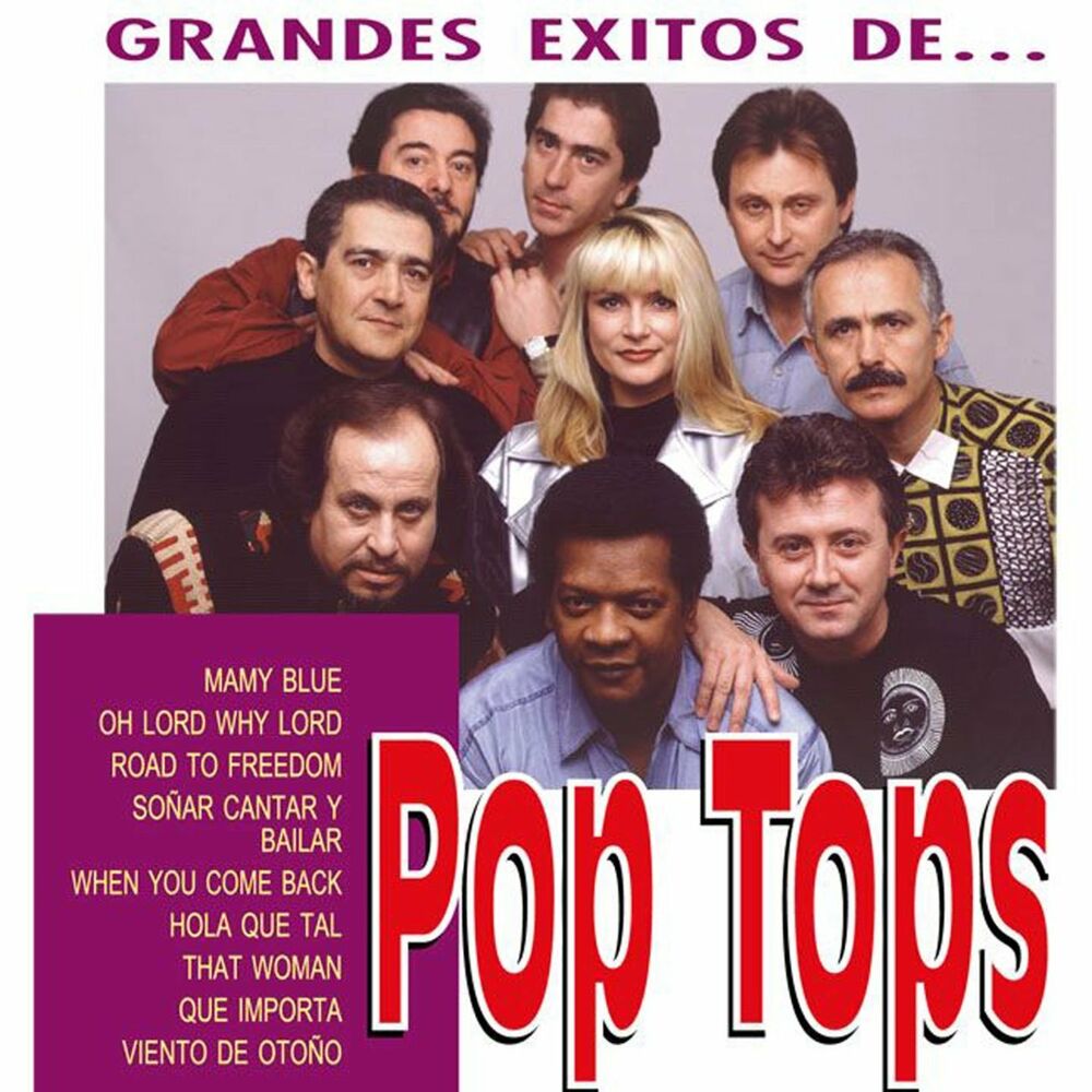 Picture of Los Grandes Exitos de Pop Tops