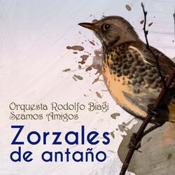 Cover of Zorzales de Antaño - Orquesta Rodolfo Biagi - Seamos Amigos