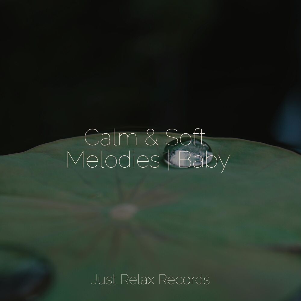 Picture of Calm & Soft Melodies | Baby