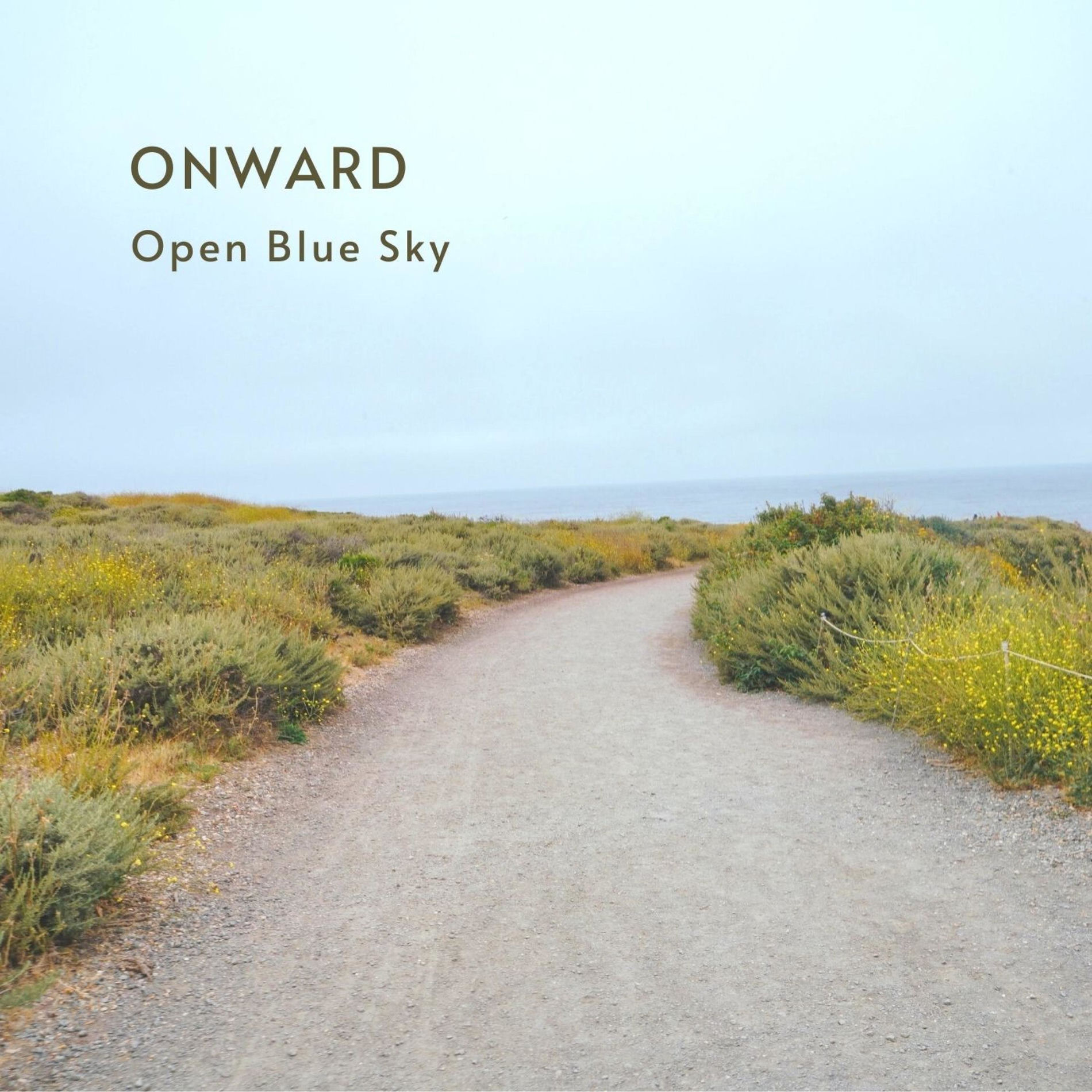 Album cover of Flowing Grace