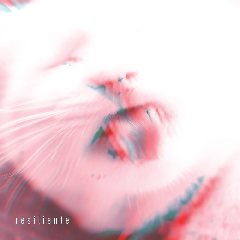 Picture of Resiliente