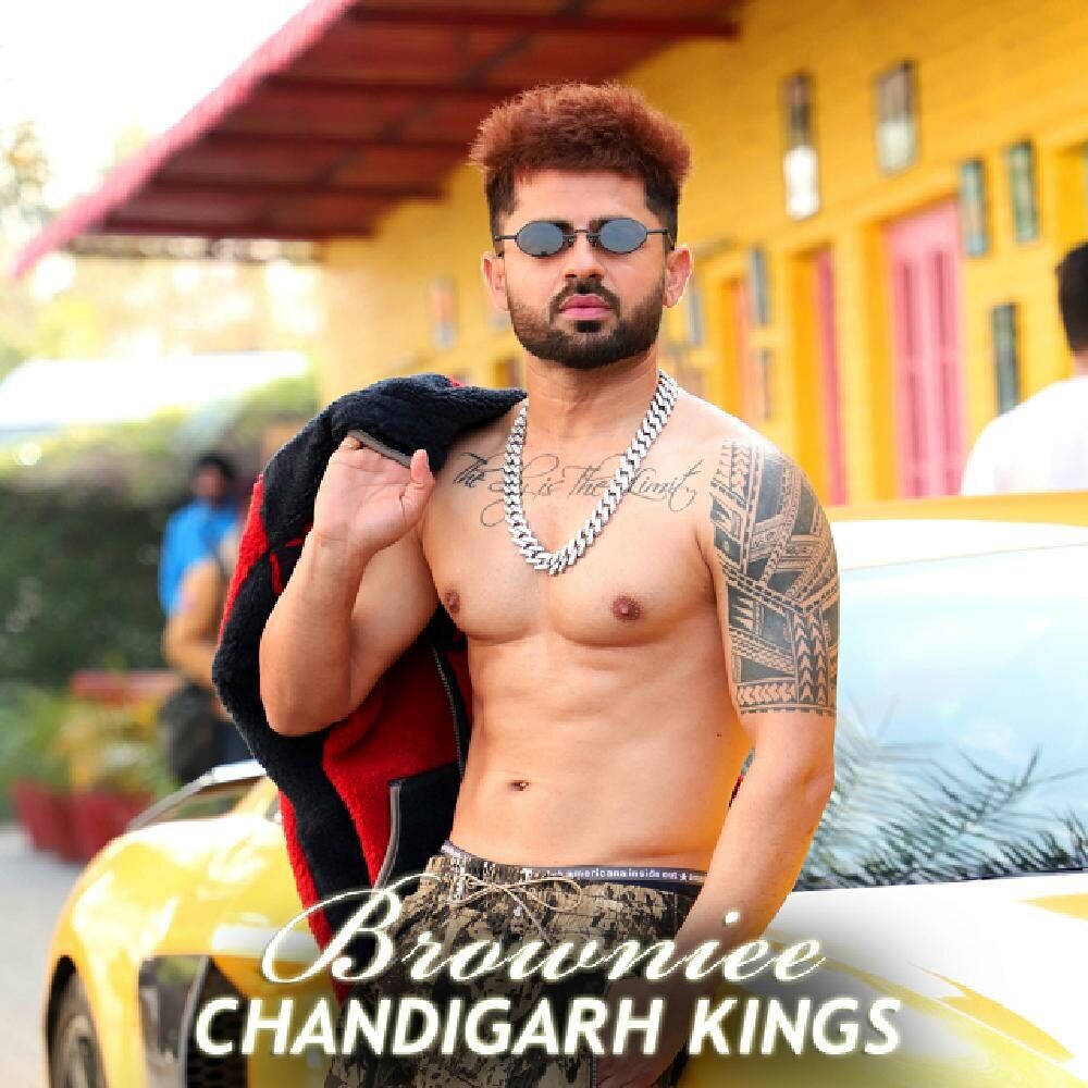 Picture of Chandigarh Kings