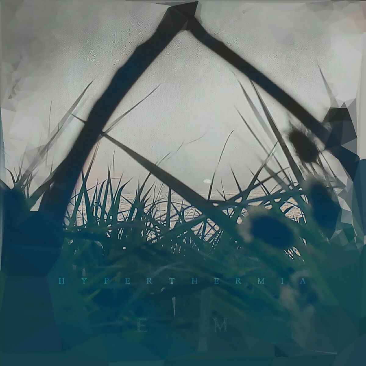 Album cover of Hyperthermia