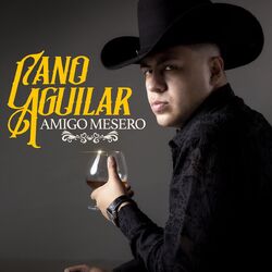 Cover of Amigo Mesero