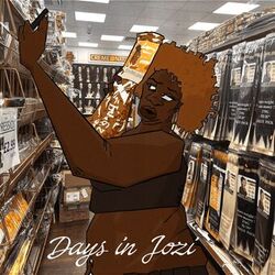 Cover of Days in Jozi