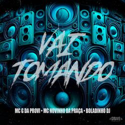 Cover of Vai Tomando