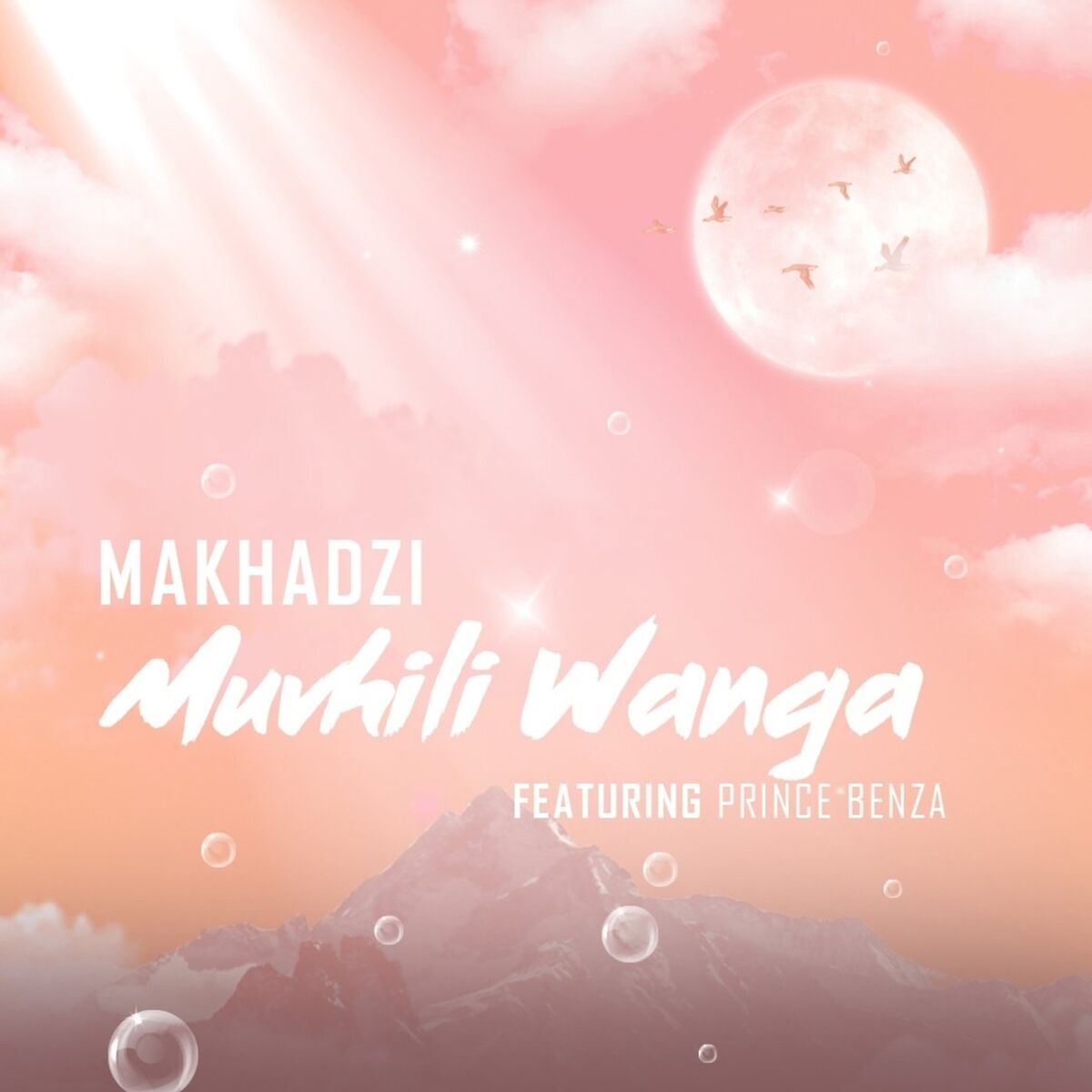 Album cover of Muvhili Wanga (feat. Prince Benza)